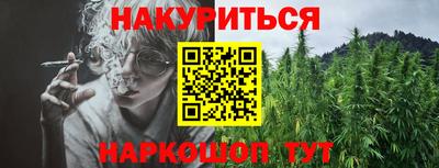 Альфа ПВП Владикавказ