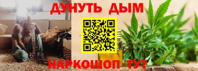 Альфа ПВП Владикавказ