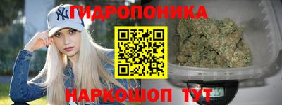 Альфа ПВП Владикавказ