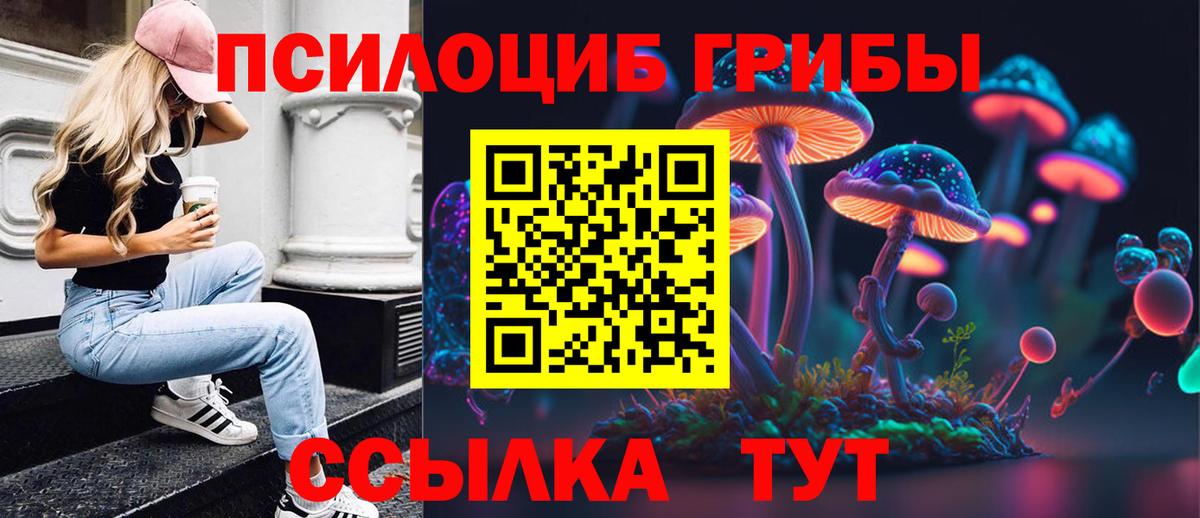 Кисловодск  Псилоцибиновые грибы Magic Shrooms  Вход с VPN 